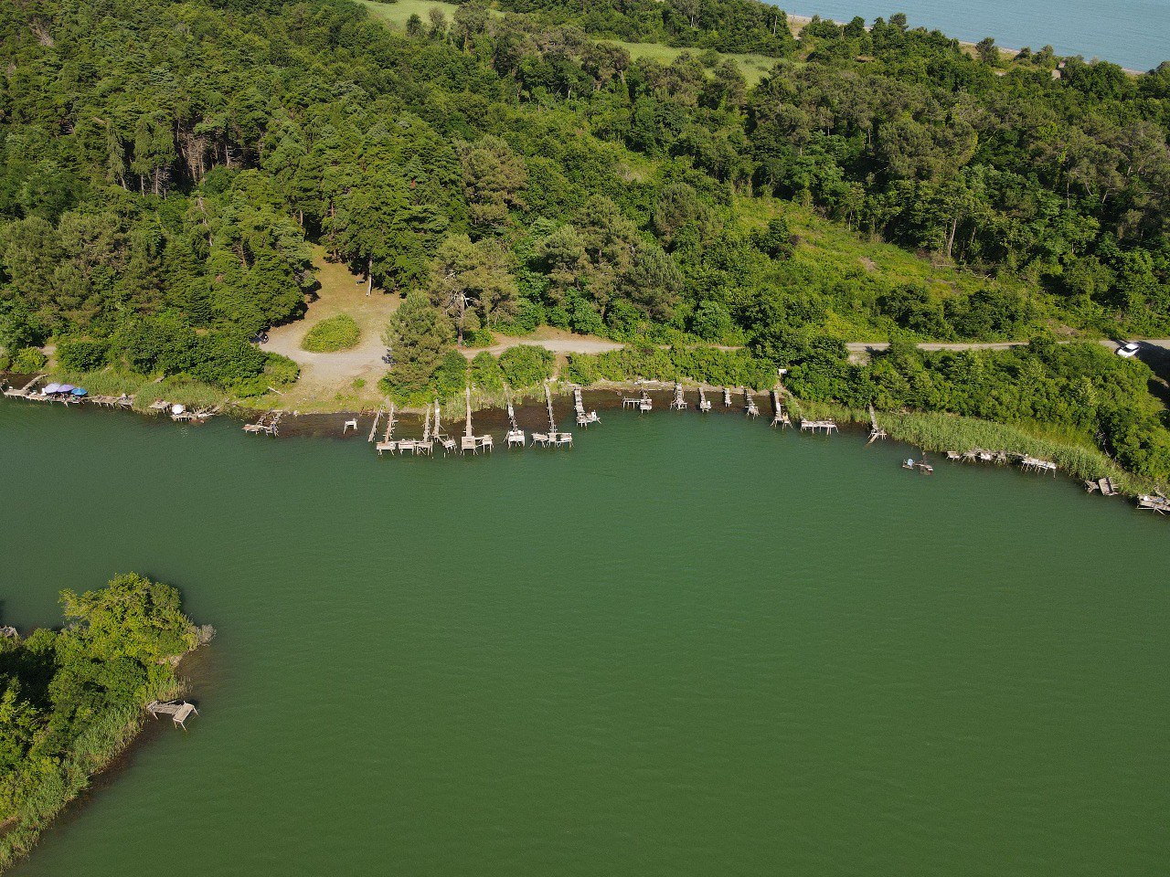 . База отдыха Сосновый бор. Сухум