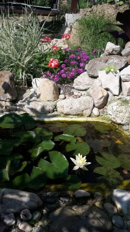 . Гостиница "Багира". Новый Афон