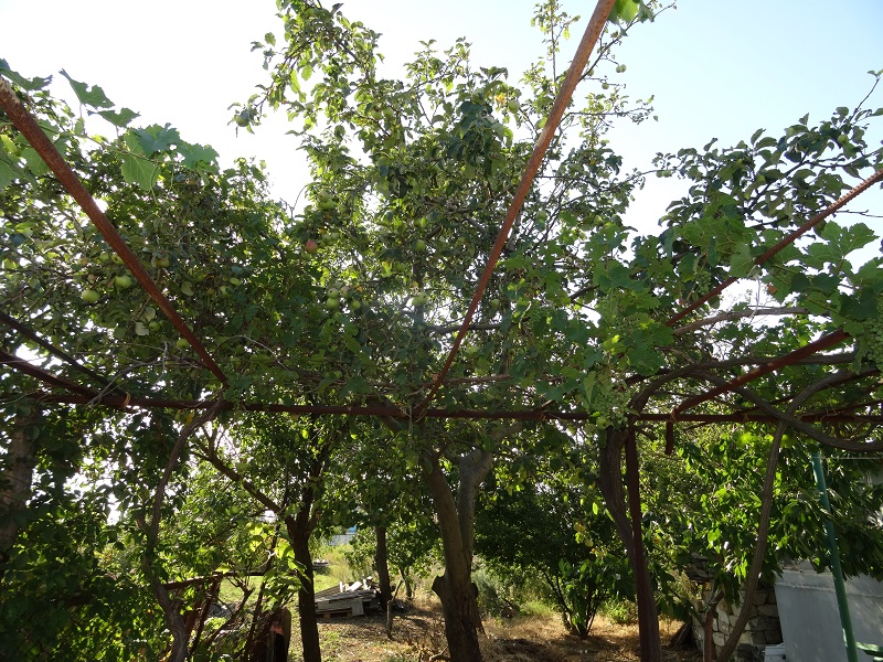 . Дом под ключ Восточная 11/а. Кучугуры