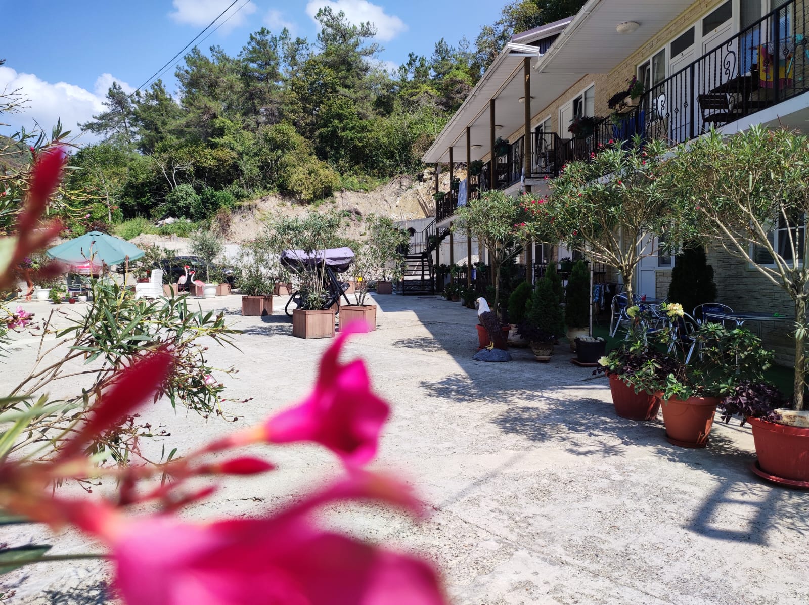 . Уда-ча в Свирском ущелье. Лазаревское