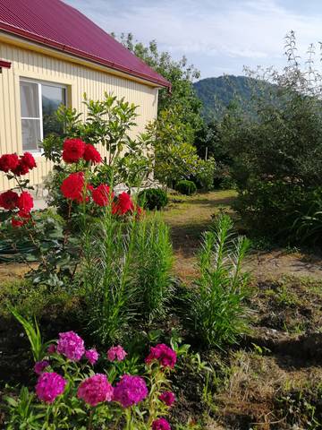 . Частный сектор "Клевер" в Новомихайловском. Новомихайловский . Частный сектор "Клевер" в Новомихайловском. Новомихайловский