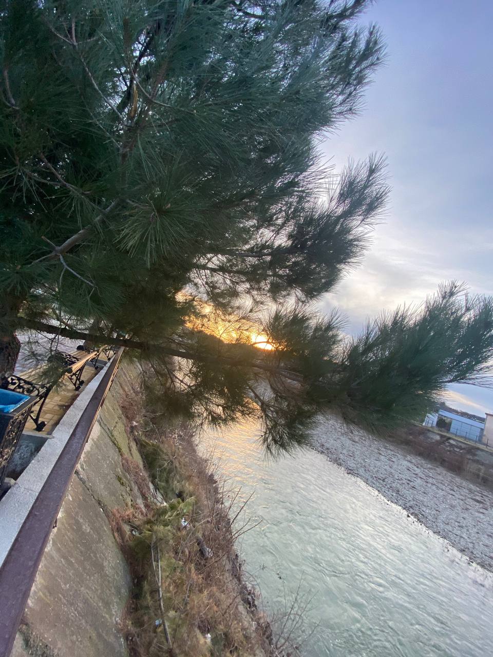 . Гостевой дом "Инжир". Новомихайловский