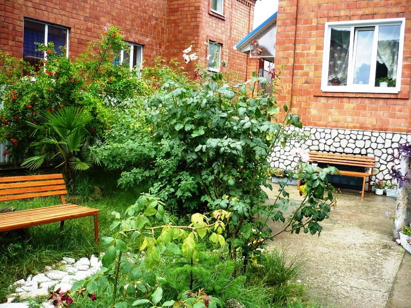 . Гостевой дом "Усадьба Александр" . Шепси