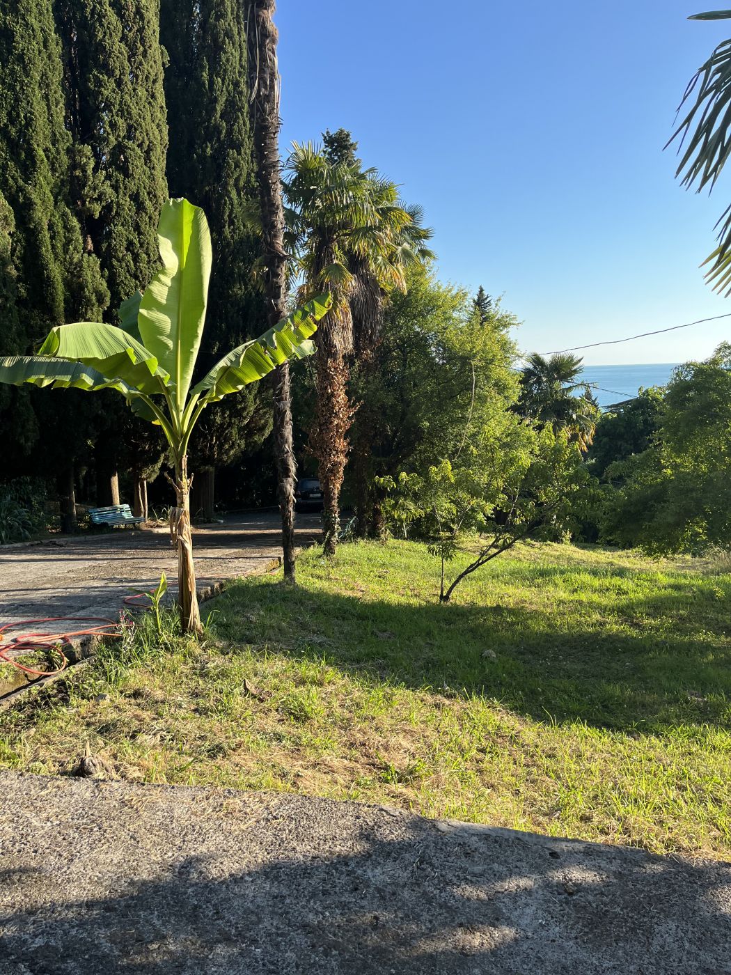 . Гостевой дом "Сосновый рай" . Гагра