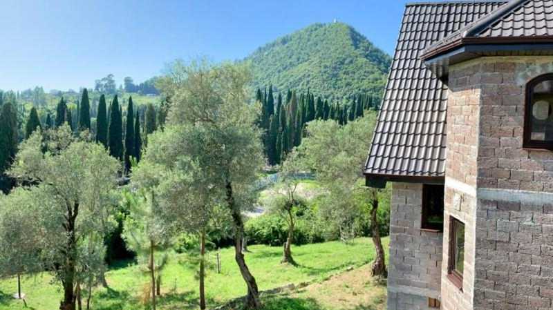 . Гостиница "Guest house Maslina". Новый Афон