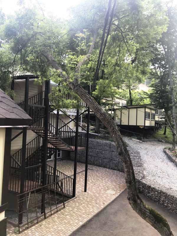 . Гостевой дом Ручеек. Джубга