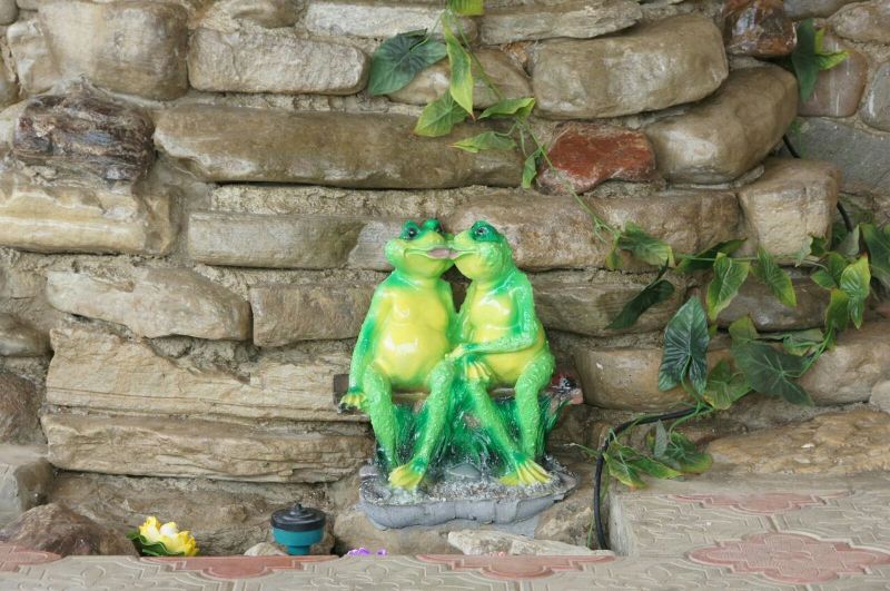 . Гостевой дом "Алина" в Джубге       . Джубга