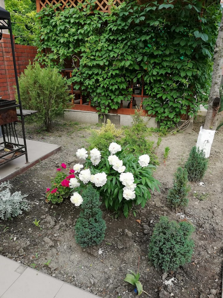 . Гостевой дом "Сибирячка". Ольгинка