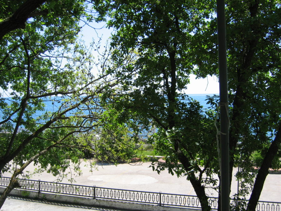 Эконом КОРПУС №10 (№4-5). Эко-отель «АЛЫЕ ПАРУСА». Солнечногорское