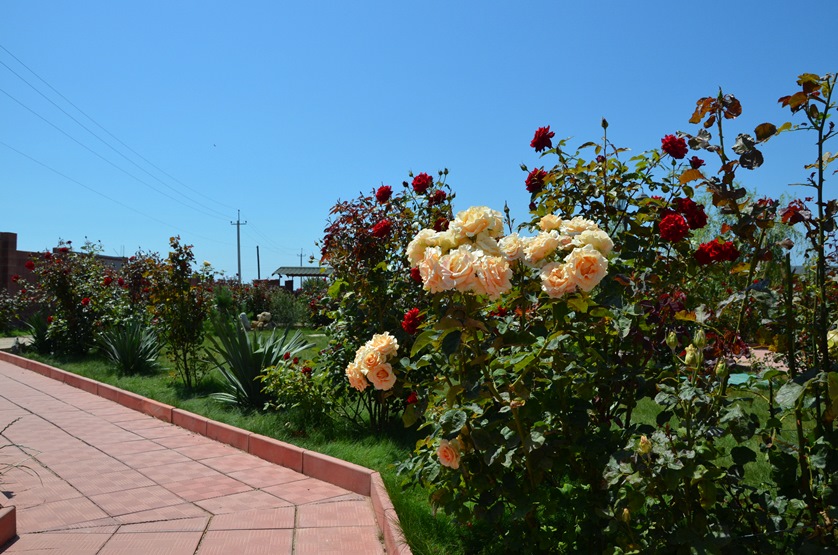 . Отель У Моря с бассейном. Евпатория