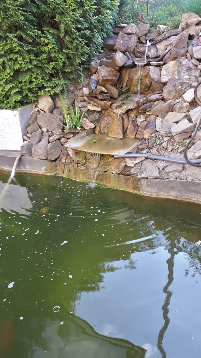 . Гостиница "Парадиз". Ольгинка