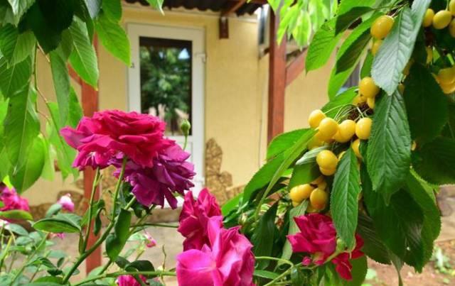 . Гостевой дом Есения. Заозерное