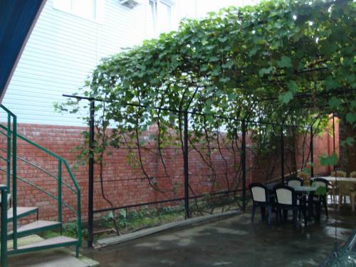 . Гостевой дом "Сибирячка". Ольгинка