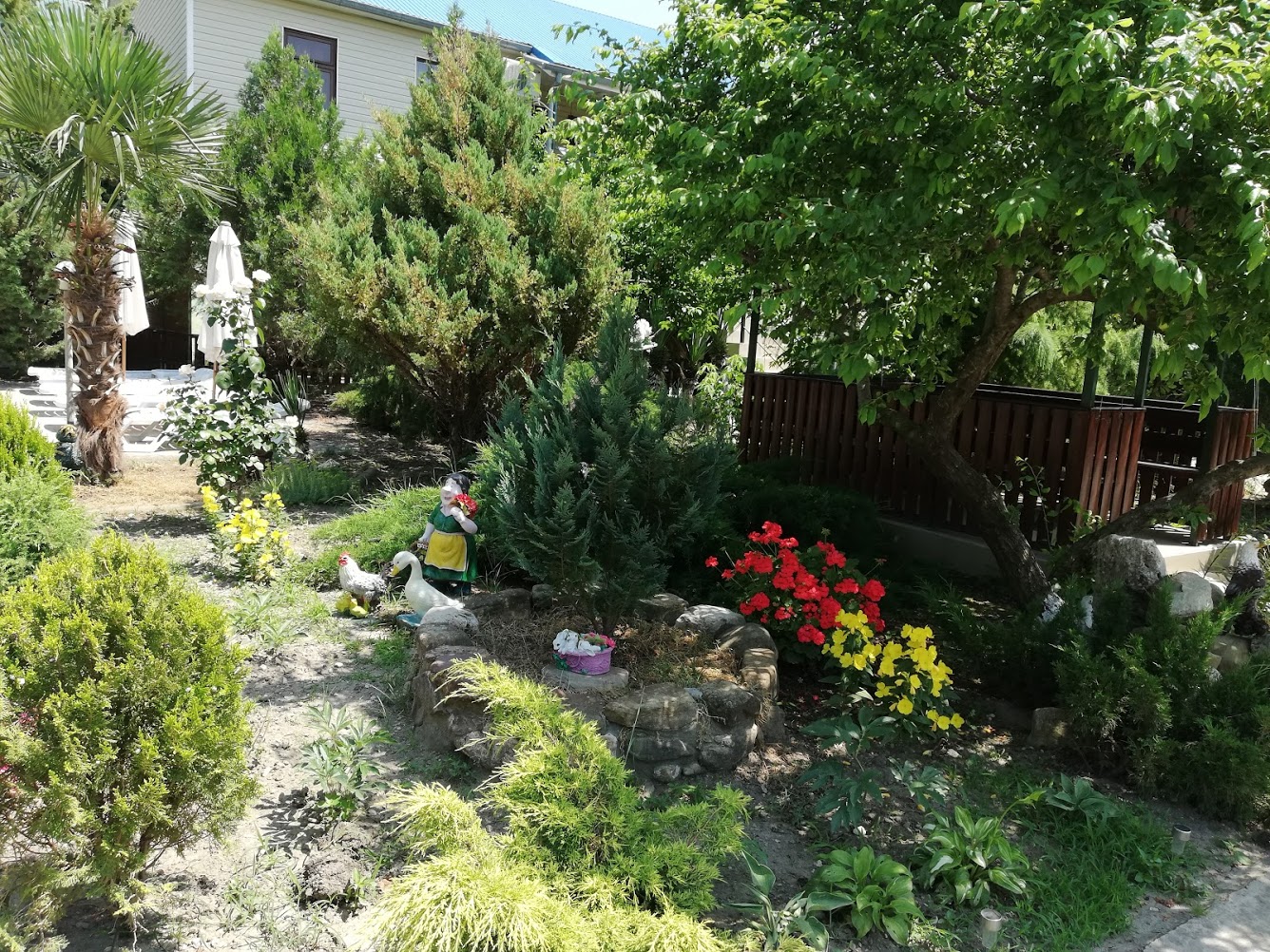 . Гостевой дом "Сибирячка". Ольгинка