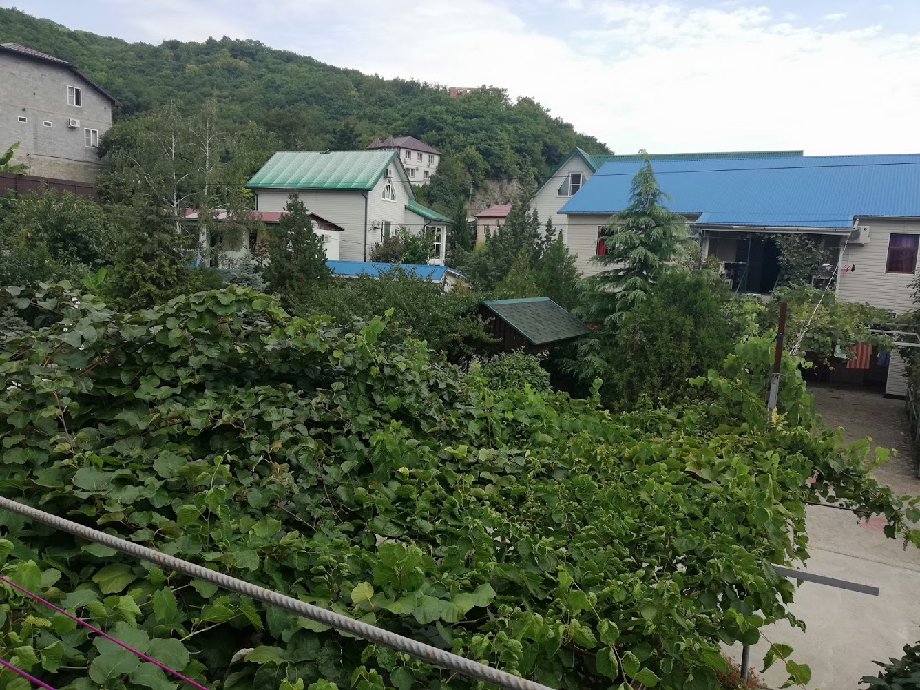 . Гостевой дом "Сибирячка". Ольгинка