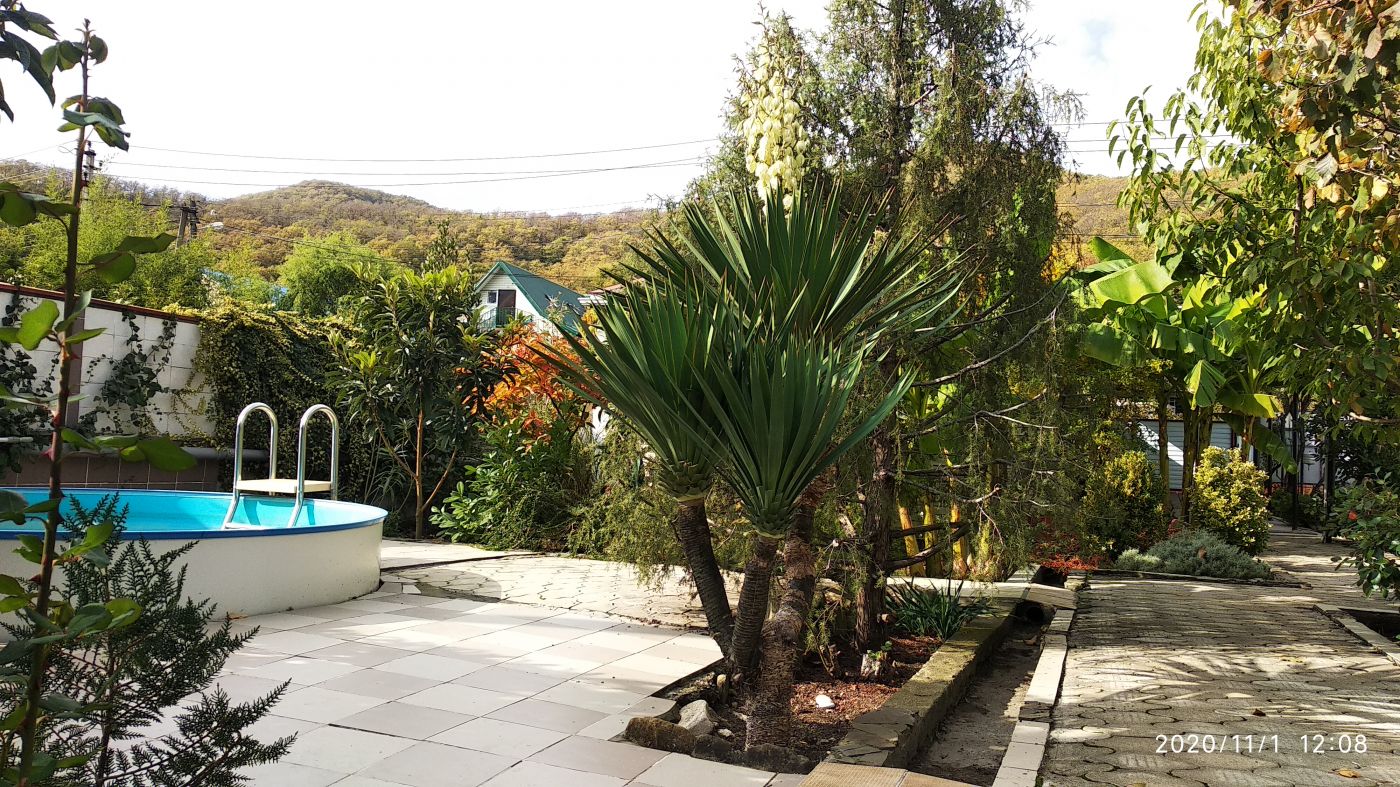 . Гостевой дом "Ростовский дворик". Ольгинка . Гостевой дом "Ростовский дворик". Ольгинка