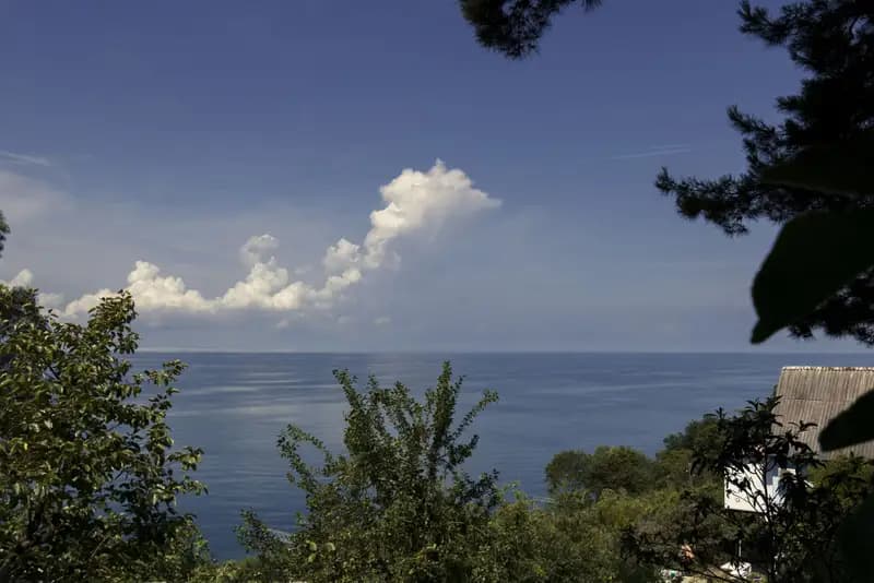 Дом Манича на 4 места. Частный сектор "Новые горизонты в Сосновом бору" . Чемитоквадже