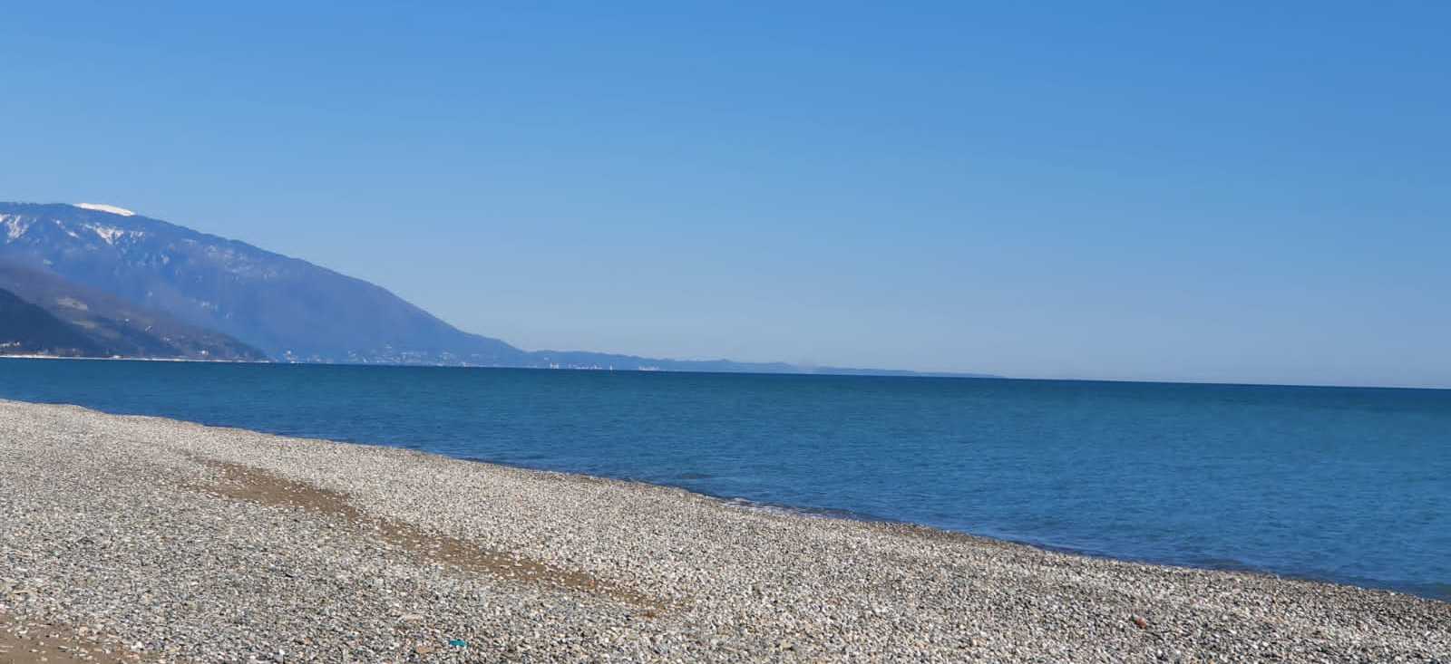 . Гостевой дом "Розовая пантера". Гагра