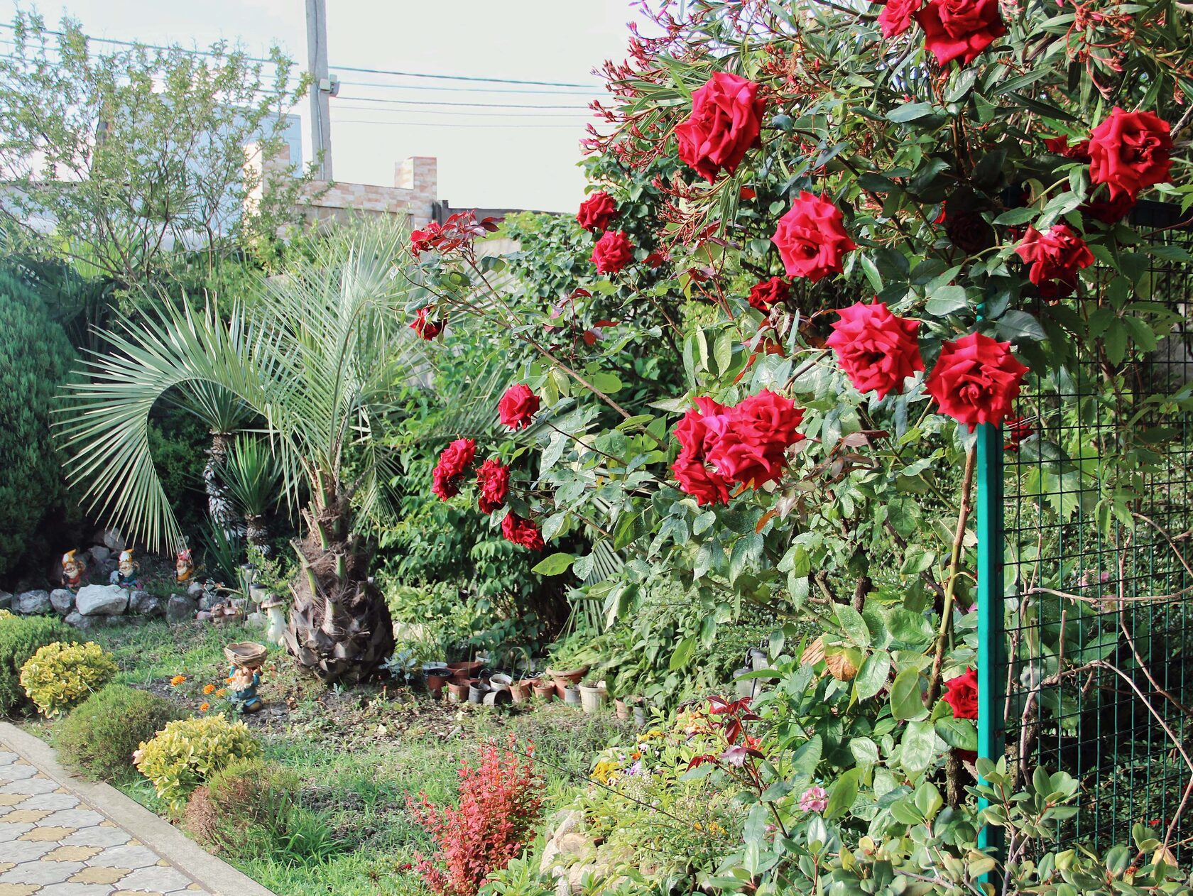 . Апарт-отель “Planeta MOV”. Адлер