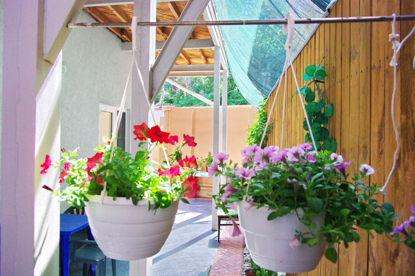 . Частный сектор Гостевой дом "У Галины".. Феодосия