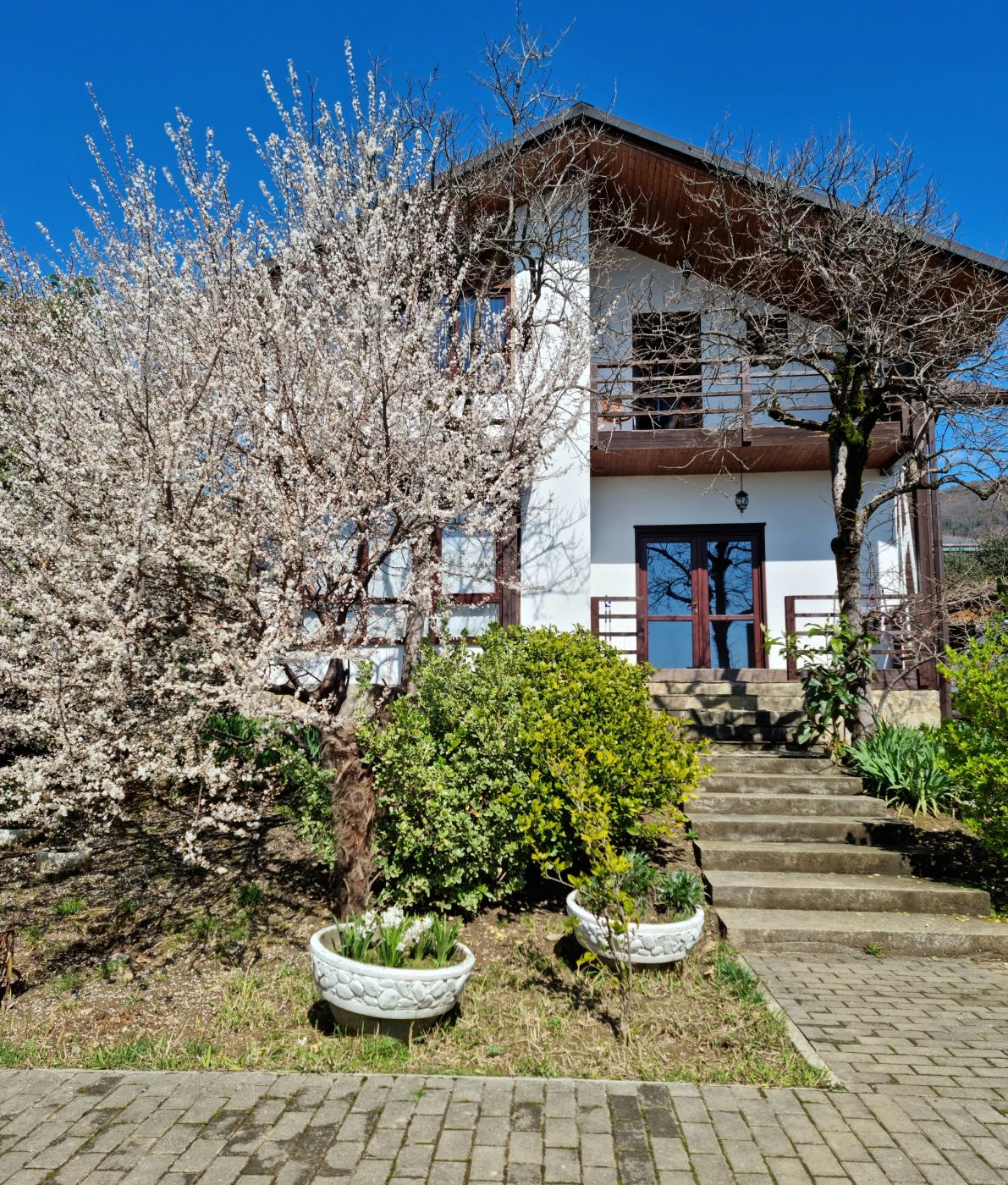 . Гостевой дом "Цитрус". Цандрипш