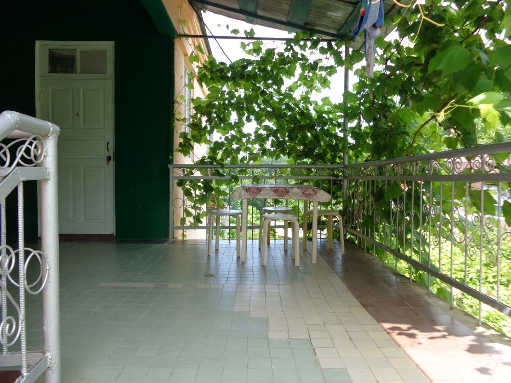 . Частный сектор Приморская 2 в Пицунде. Пицунда