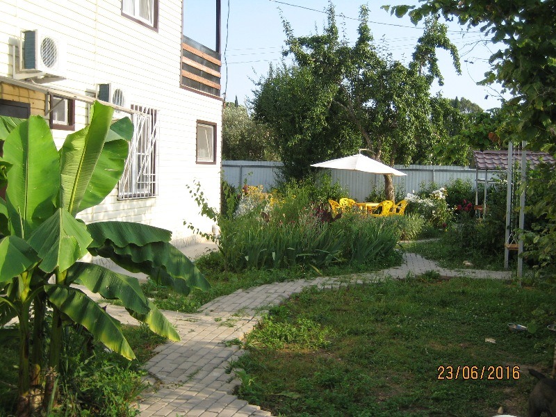 . Гостевой дом "Елена" - Цандрипш. Цандрипш