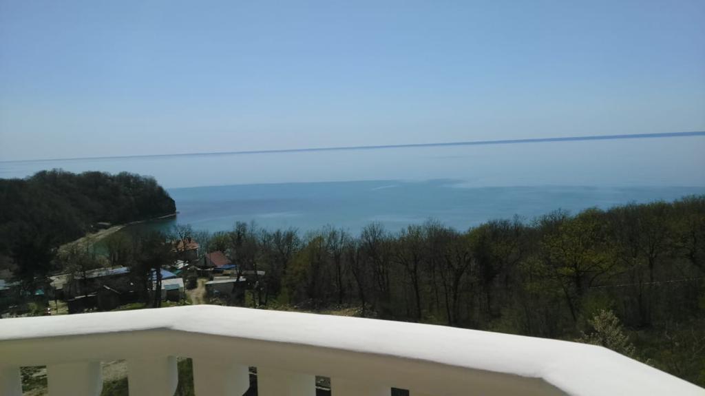 . Гостевой дом Дельфин - Новомихайловский. Новомихайловский