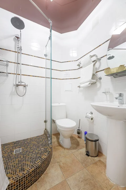 Superior Однокомнатный номер. Отель Tizdar Family Resort & SPA ★★★★★. За Родину