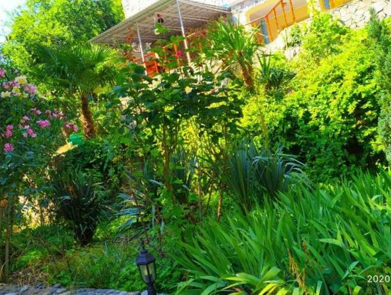 . Гостевой дом Сувенир. Гаспра