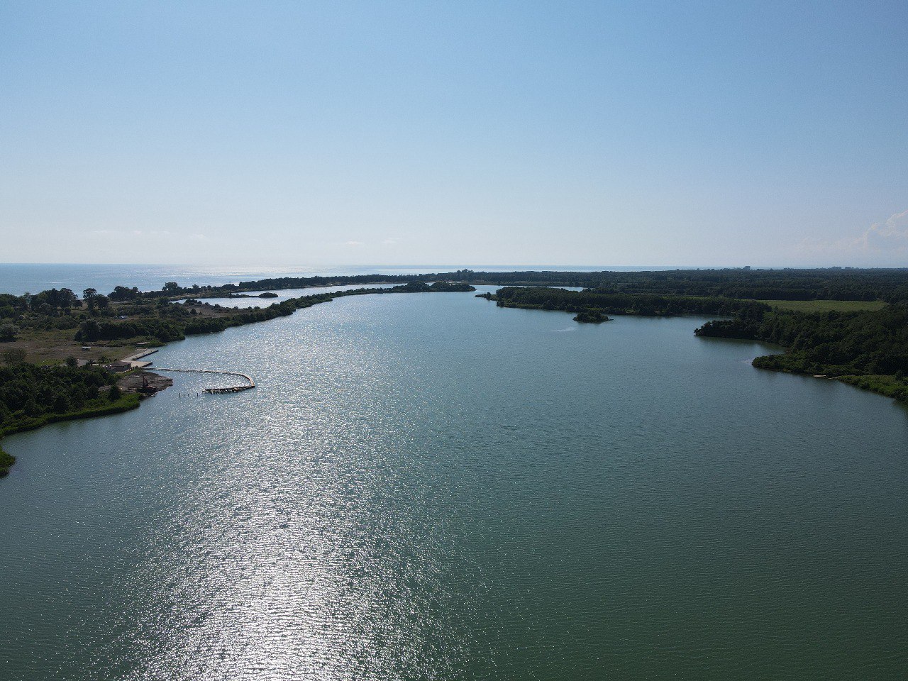 . База отдыха Сосновый бор. Сухум