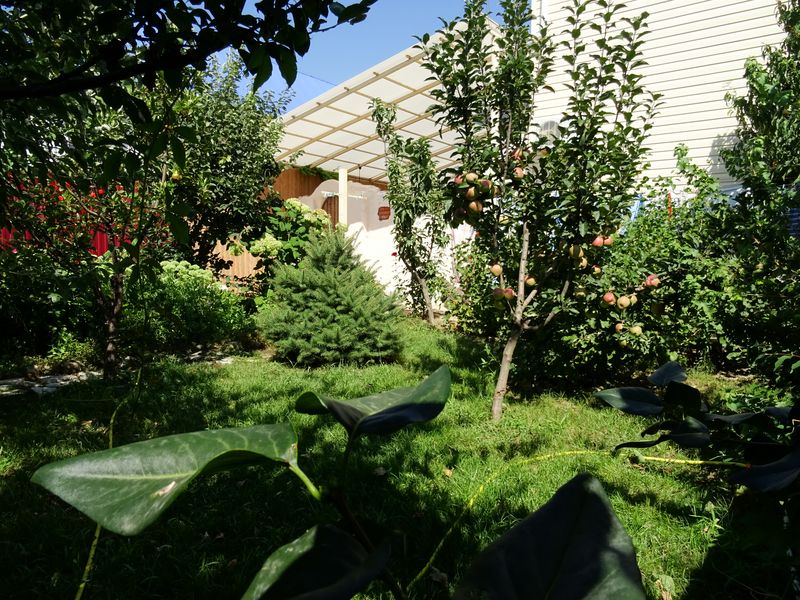 . Частный сектор "Самбурова 20". Благовещенская