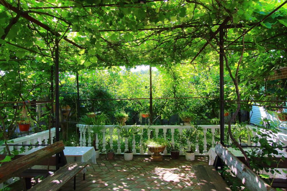 . Частный сектор "На Ореховой 58". Джубга . Частный сектор "На Ореховой 58". Джубга