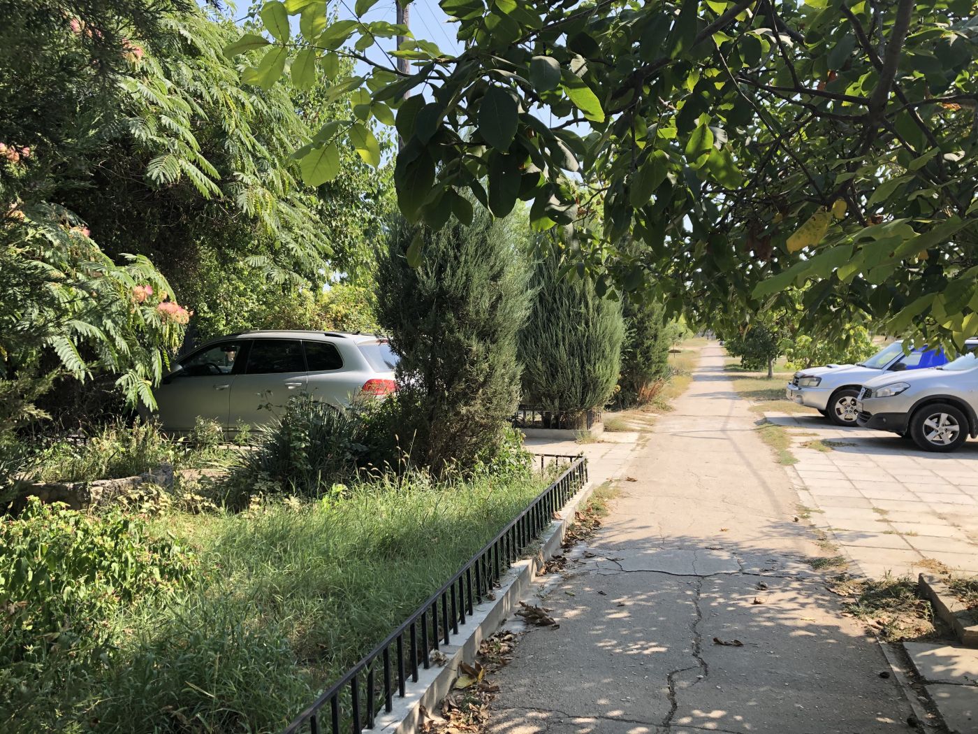 . Частный сектор Александра. Заозерное