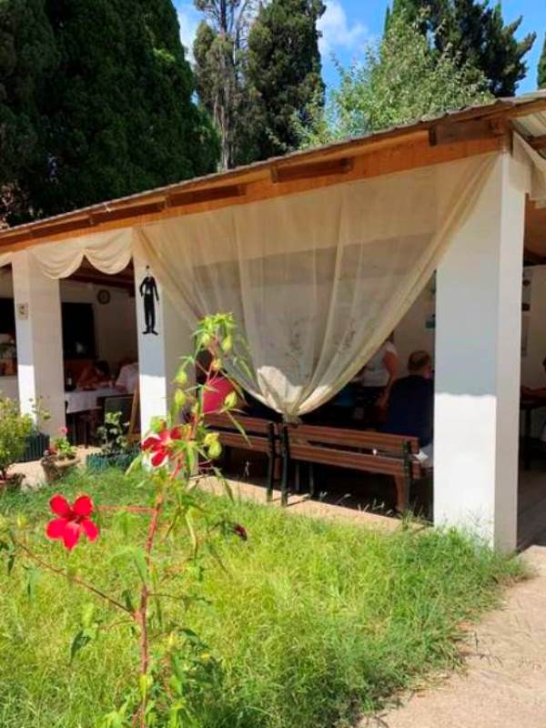 . Гостевой дом "Пицунда". Пицунда