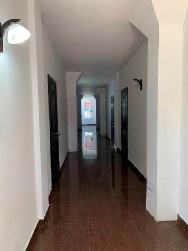 . Гостевой дом "Пицунда". Пицунда