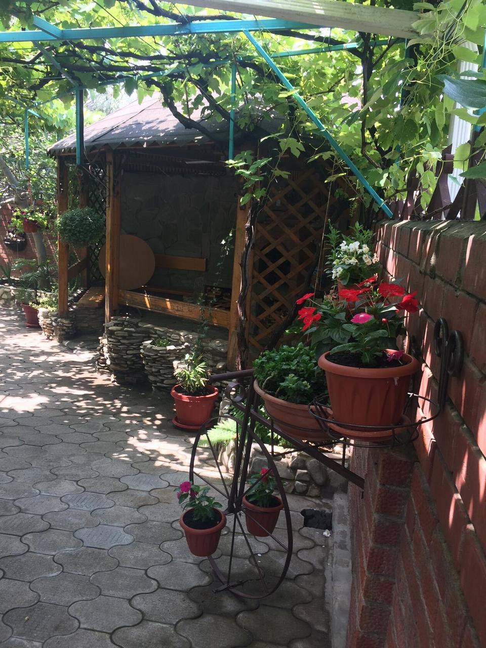 . Гостевой дом "Инжир". Новомихайловский