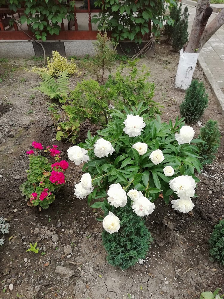 . Гостевой дом "Сибирячка". Ольгинка