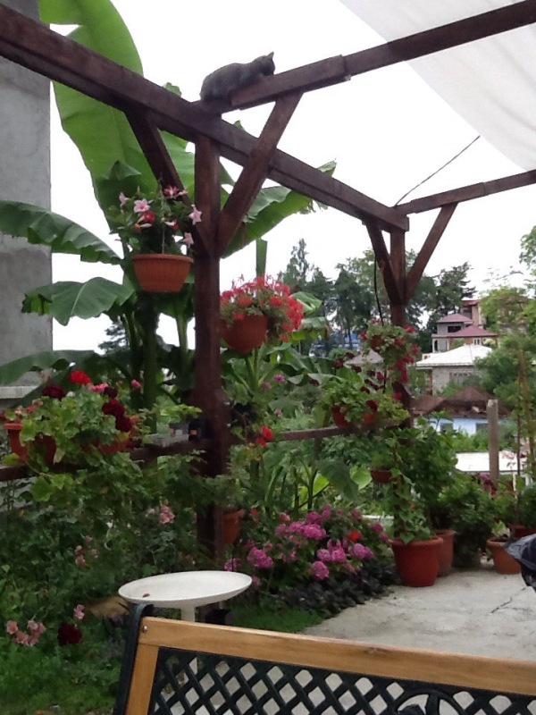 . Гостевой дом "Валентина" - Новый Афон. Новый Афон