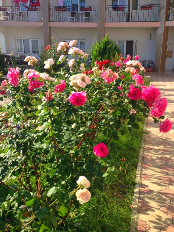 . Гостевой дом "Анастасия". Заозерное . Гостевой дом "Анастасия". Заозерное