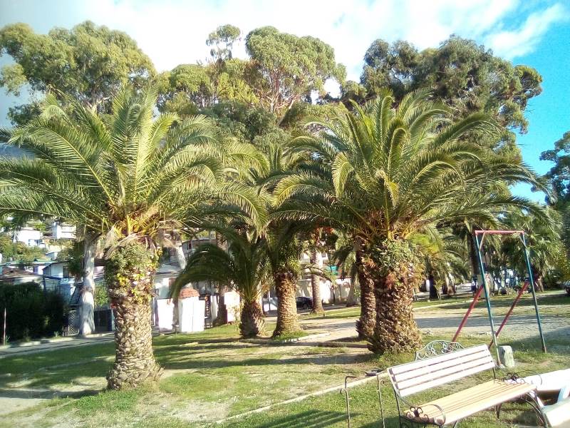 . Частный сектор на Генерала Дбар 16. Гагра