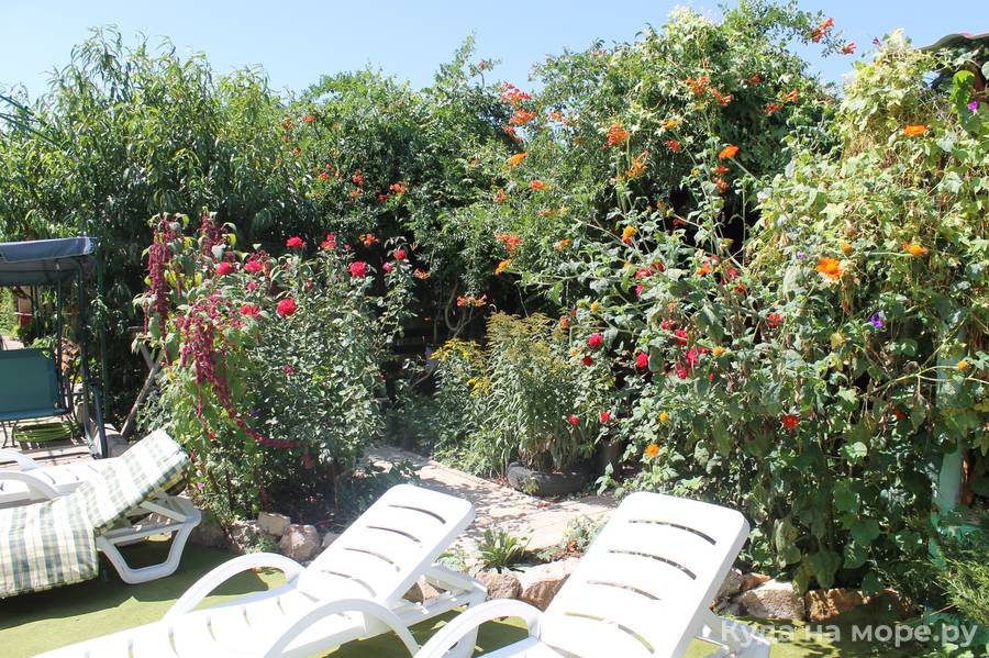 . Гостевой дом Наш дом отдыха. Симферополь