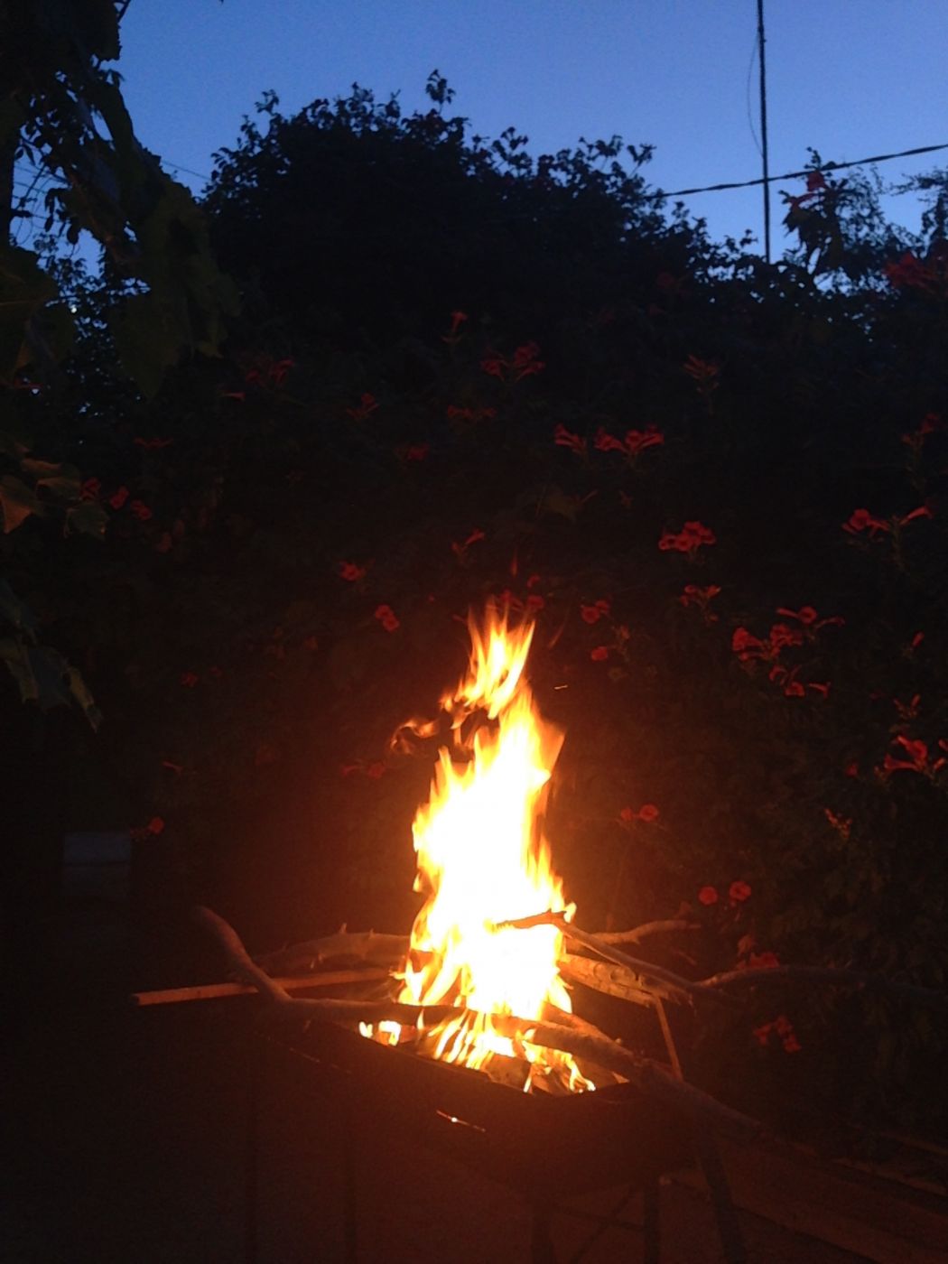 . Гостевой дом на Комарова 17. Витязево