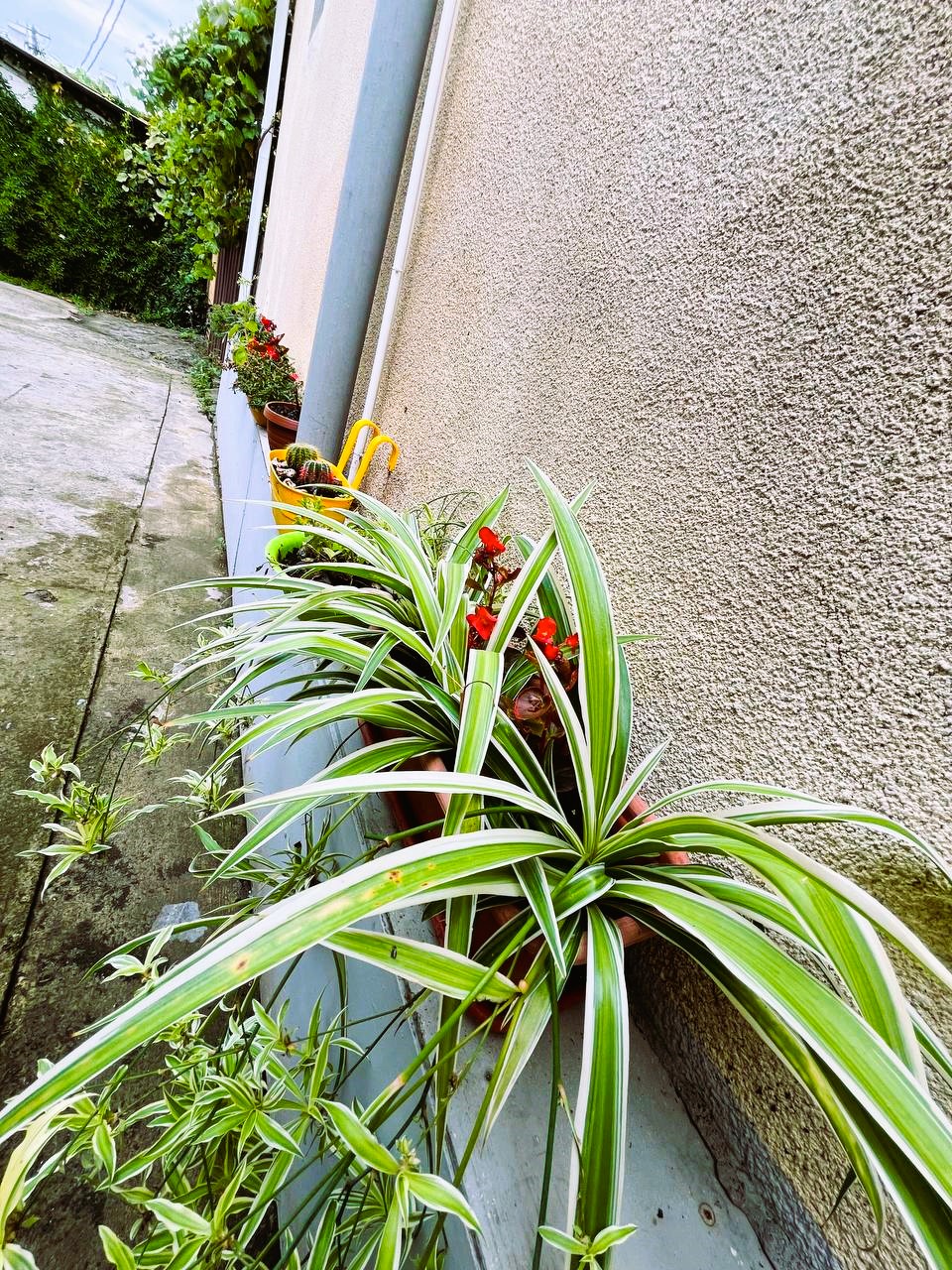 . Отель "Гермес" . Вардане . Отель "Гермес" . Вардане