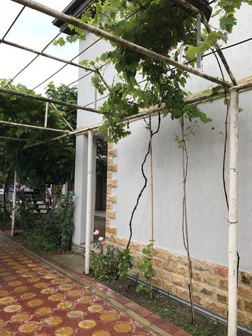 . Гостевой дом "Мека". Гудаута