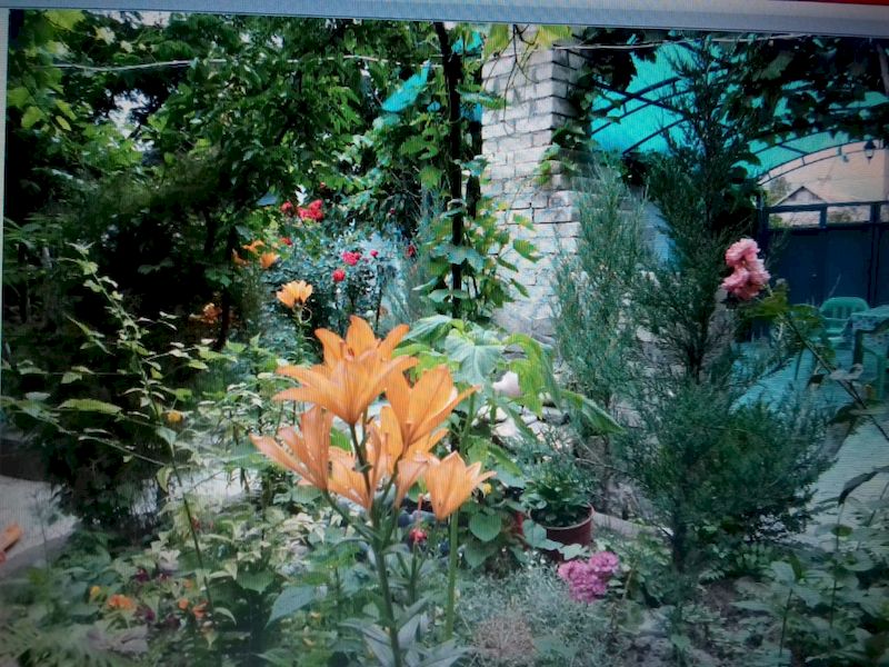 . Частный сектор Солнышко. Сенной