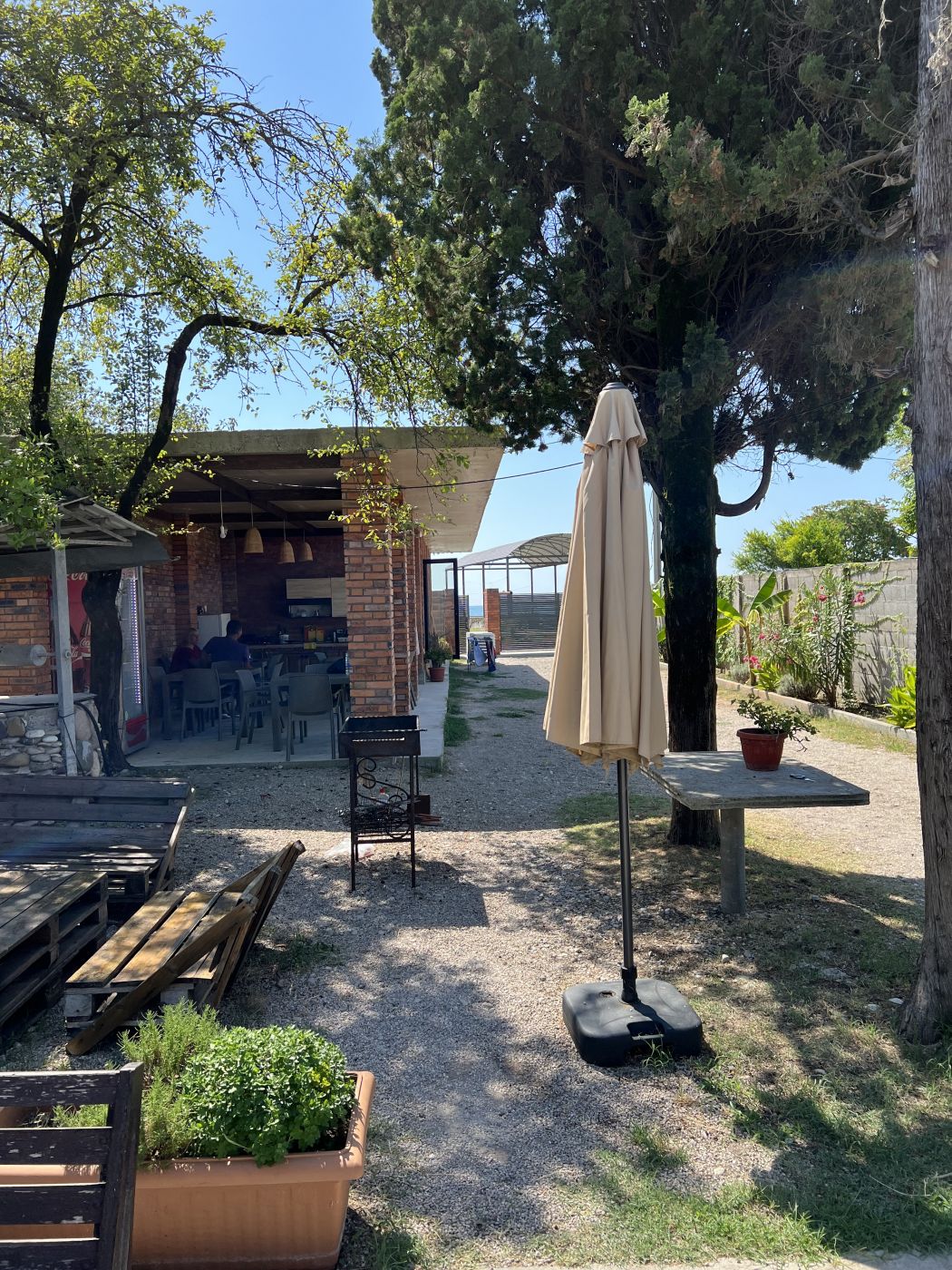 . Гостевой комплекс Шезлонг . Гудаута