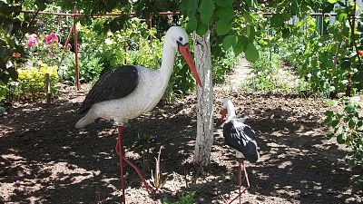 . Частный сектор Тихий семейный отдых. Ейск