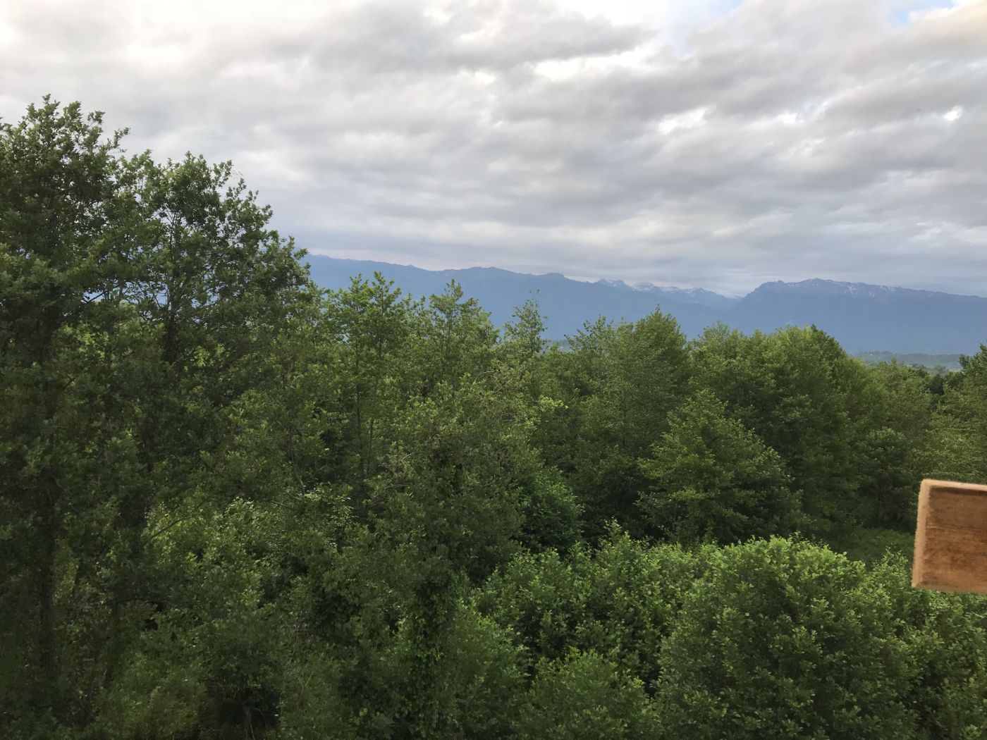 . Гостевой дом "Золотые пески". Гудаута