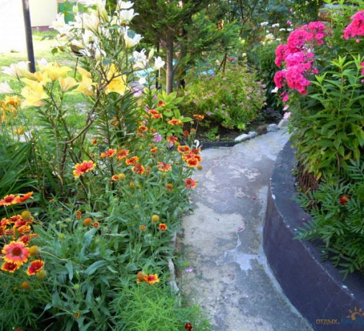 . Гостевой дом "Аморе" . Небуг . Гостевой дом "Аморе" . Небуг